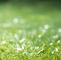 将于, 志愿者招募, 中心体育场 将于, 志愿者招募, 中心体育场